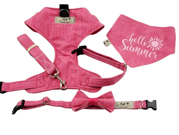 Heavenly dogs - Chest harness bundle set