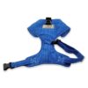 blue-chest-harness