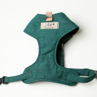 green-harness heavenlydogs