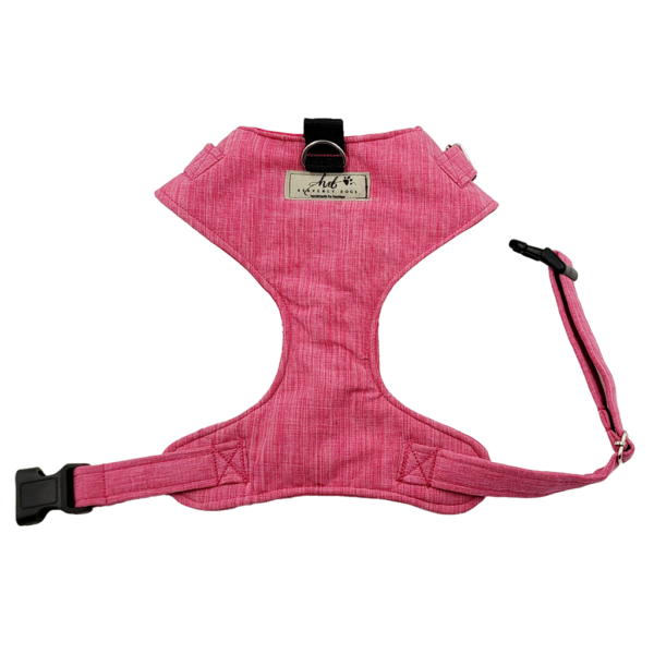 Pink-harness heavenly dogs